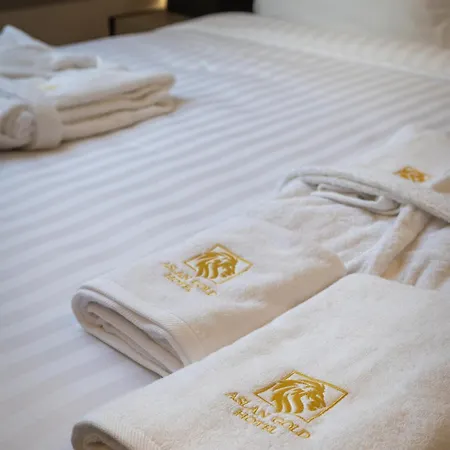 Aslan Gold Hotel Warna