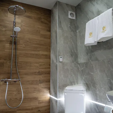 Aslan Gold Otel 3*