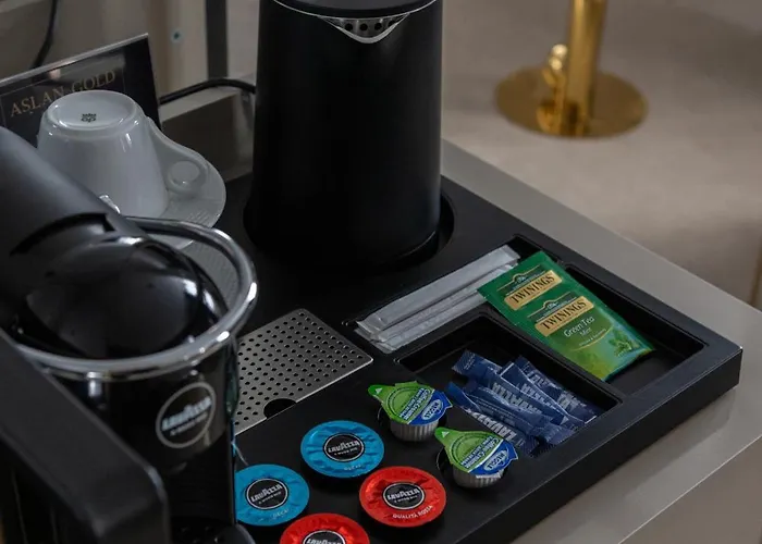 Aslan Gold 3* Варна